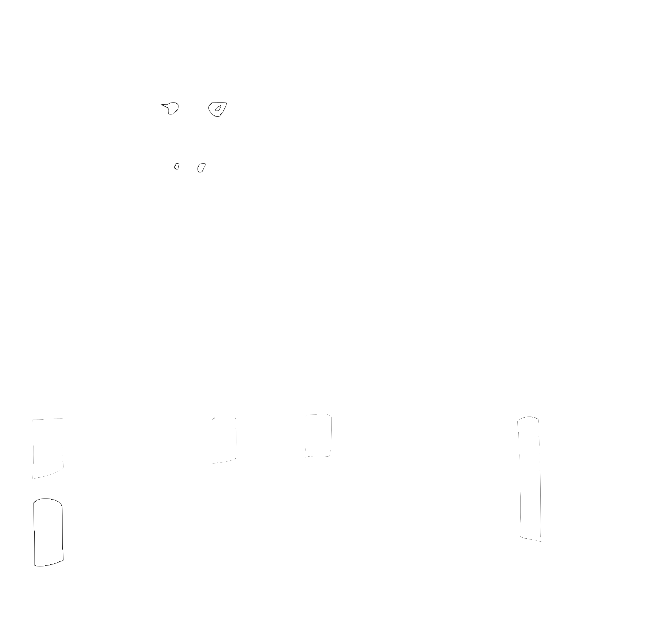 Burritos Chilorio